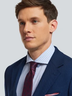 Hombre Alvaro Moreno Trajes|Trajes|AMERICANA BIRDEYE