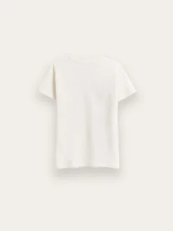 Alvaro Moreno Camisetas|CAMISETA BASICA KIDS