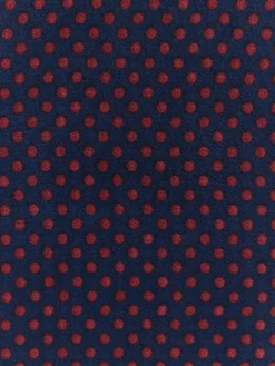 Hombre Alvaro Moreno Foulares|FOULARD PRINT