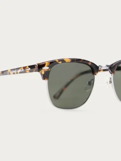 Hombre Alvaro Moreno Gafas De Sol|GAFAS MASTER MARRÓN