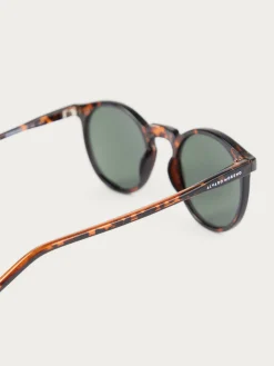 Hombre Alvaro Moreno Gafas De Sol|GAFAS ROUNDER MARRÓN