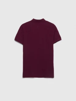 Hombre Alvaro Moreno Polos Y Poleras|POLO BASIC