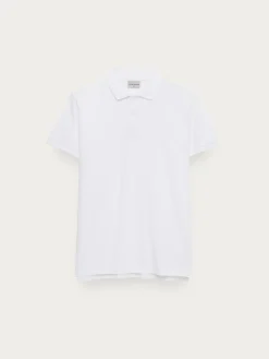 Hombre Alvaro Moreno Polos Y Poleras|POLO SCOOBY