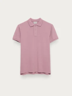 Hombre Alvaro Moreno Polos Y Poleras|POLO SCOOBY