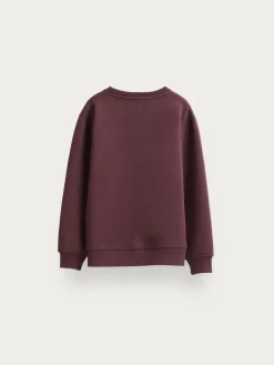 Alvaro Moreno Sudaderas|SUDADERA BASICA KIDS